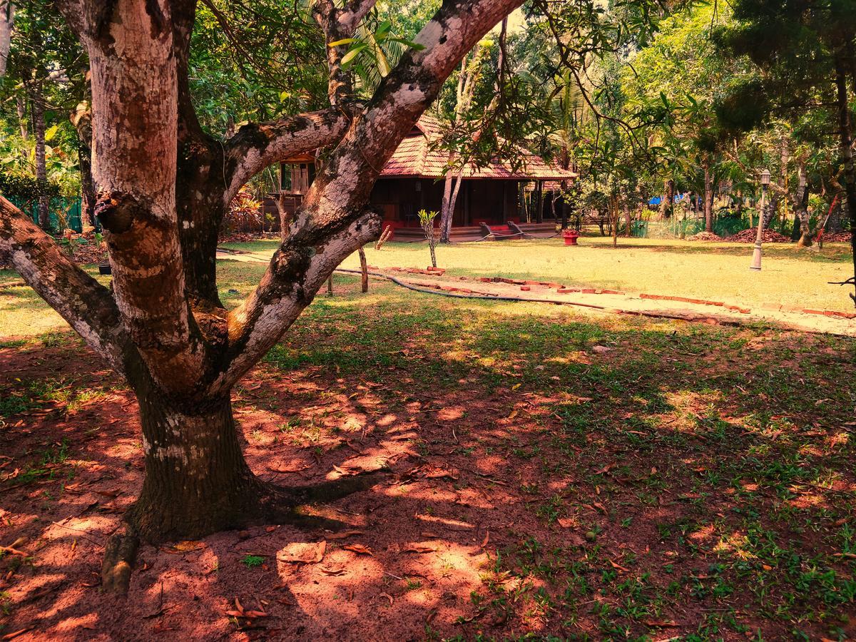 Palathra Heritage Mararikulam Eksteriør bilde
